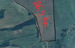 Tern extravilan 26,3974 ha, Ardud