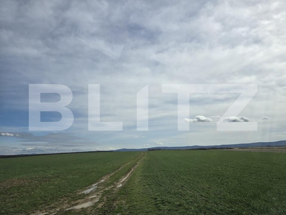 Teren de vânzare Ardud - 164582TV | BLITZ Satu Mare | Poza3