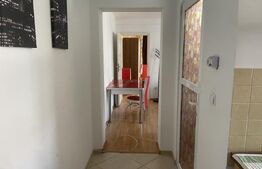 Apartament de inchiriat cu 2 camere, 50mp,  zona Vasile Lucaciu