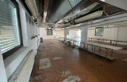 Casa cu 5 incaperi, 580mp, zona Carpati 1