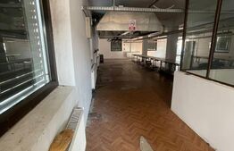 Casa cu 5 incaperi, 580mp, zona Carpati 1