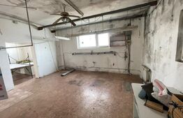 Casa cu 5 incaperi, 580mp, zona Carpati 1