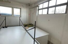 Casa cu 5 incaperi, 580mp, zona Carpati 1