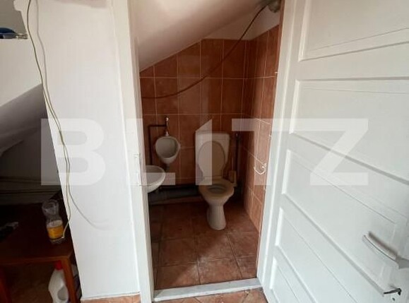 Spațiu comercial de vânzare Carpati 1 - 165195SVC | BLITZ Satu Mare | Poza4