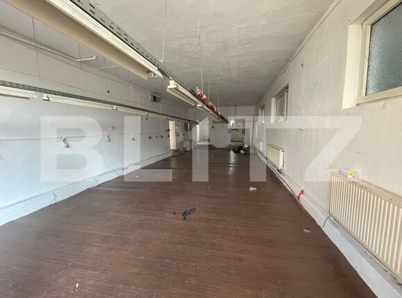 Spațiu comercial de vânzare Carpati 1 - 165195SVC | BLITZ Satu Mare | Poza13