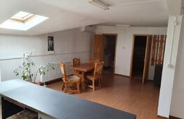 Spatii comerciale + Apartament, 313mp, zona Semicentrala