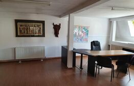 Spatii comerciale + Apartament, 313mp, zona Semicentrala