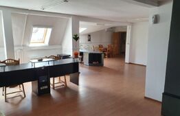 Spatii comerciale + Apartament, 313mp, zona Semicentrala