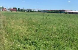 Teren Extravilan de Vânzare – 40 Ari – Strada Spicului