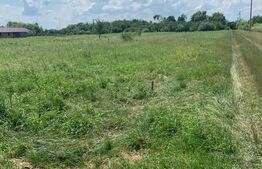 Teren de vânzare Botiz - 175262TV | BLITZ Satu Mare | Poza3