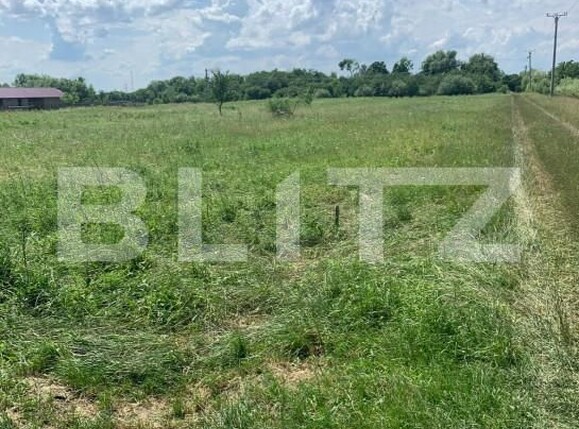 Teren de vânzare Careiului - 165423TV | BLITZ Satu Mare | Poza1