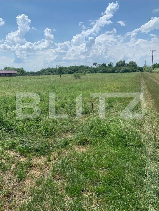 Teren de vânzare Careiului - 165423TV | BLITZ Satu Mare | Poza1