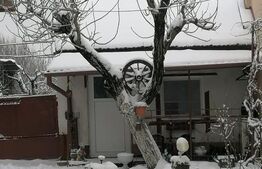 Spatiu comercial, 11 incaperi, 320 mp, zona Closca