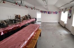 Spatiu comercial, 11 incaperi, 320 mp, zona Closca