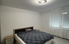 Teren 26 arii cu 1 casa + 1 proiect autorizat ptr casa2 + garaj, Zona Titulescu