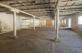 Hala de inchiriat, o incapere, 300 mp, zona Rachel