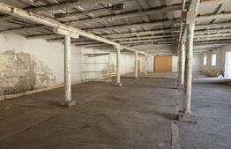 Hala de inchiriat, o incapere, 300 mp, zona Rachel