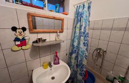 Casa de vanzare, 2 camere, 80 mp, zona Marius, lângă Valea Vinului