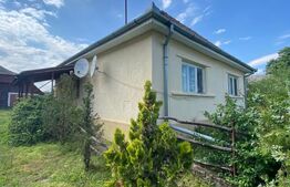 Casa de vanzare, 2 camere, 80 mp, zona Marius, lângă Valea Vinului