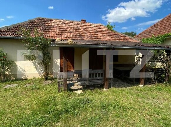 Casa de vânzare 2 camere Exterior Est - 165982CV | BLITZ Satu Mare | Poza3