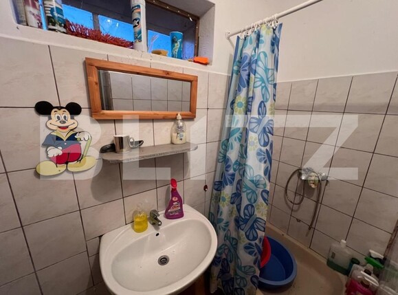 Casa de vânzare 2 camere Exterior Est - 165982CV | BLITZ Satu Mare | Poza7