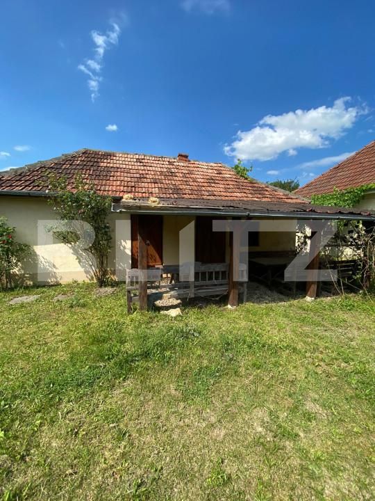 Casa de vânzare 2 camere Exterior Est - 165982CV | BLITZ Satu Mare | Poza3