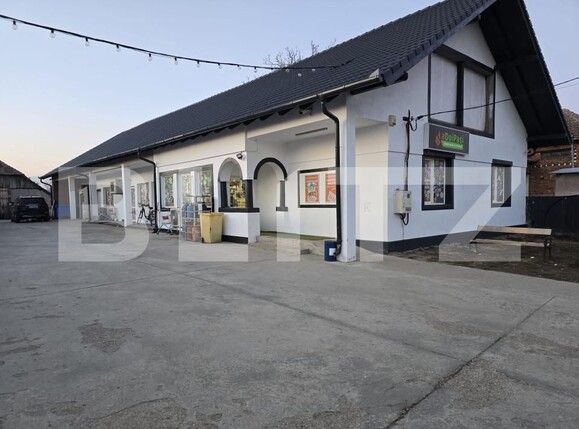 Spațiu comercial de vânzare Exterior Vest - 166140SVC | BLITZ Satu Mare | Poza1