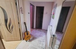 Apartament 2 camere, zona Dariu Pop
