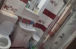 Apartament 2 camere, zona Dariu Pop