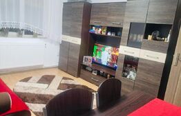 Apartament 2 camere, zona Dariu Pop