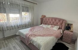  Apartament de vanzare  3 camere decomandat, zona Micro 16