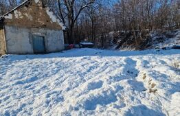 Teren intravilan 7.9 ha. Sandra