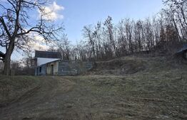 Teren intravilan 7.9 ha. Sandra