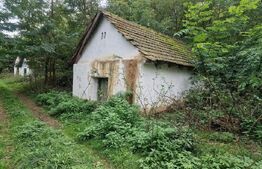 Teren intravilan 7.9 ha. Sandra