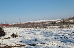 Teren intravilan 7.9 ha. Sandra