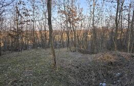 Teren intravilan 7.9 ha. Sandra