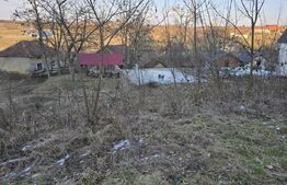 Teren intravilan 7.9 ha. Sandra