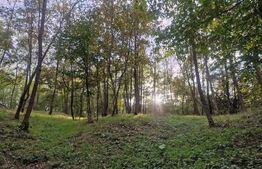 Teren intravilan 7.9 ha. Sandra