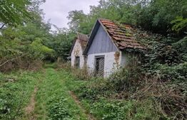 Teren intravilan 7.9 ha. Sandra