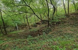 Teren intravilan 7.9 ha. Sandra