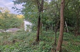 Teren intravilan 7.9 ha. Sandra