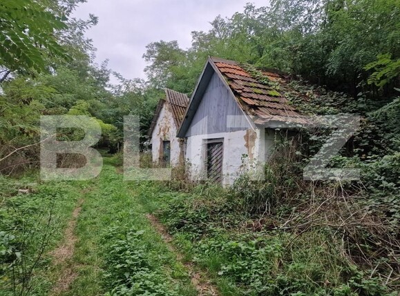 Teren de vânzare Sud - 166231TV | BLITZ Satu Mare | Poza2