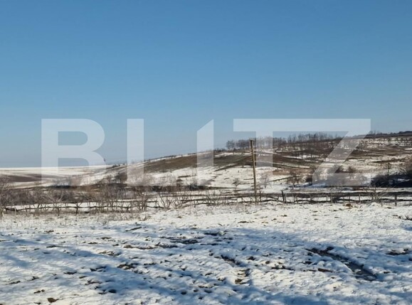 Teren de vânzare Sud - 166231TV | BLITZ Satu Mare | Poza7