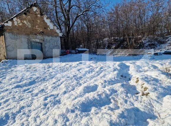 Teren de vânzare Sud - 166231TV | BLITZ Satu Mare | Poza6