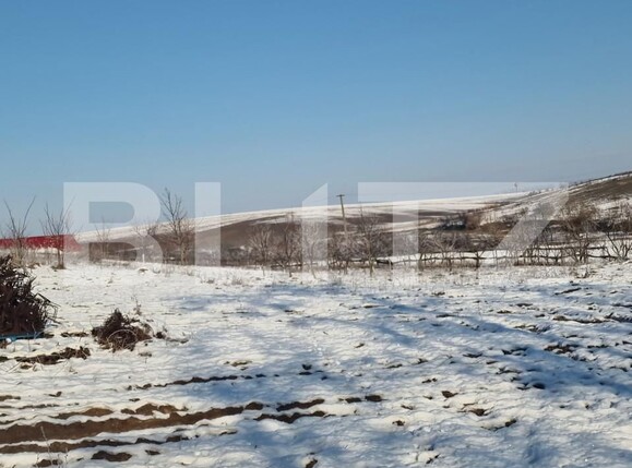 Teren de vânzare Sud - 166231TV | BLITZ Satu Mare | Poza5