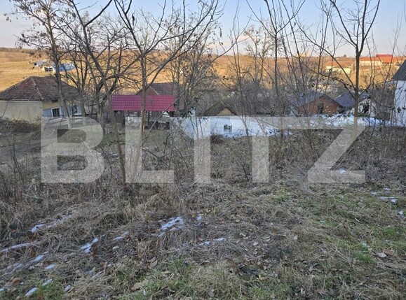 Teren de vânzare Sud - 166231TV | BLITZ Satu Mare | Poza16