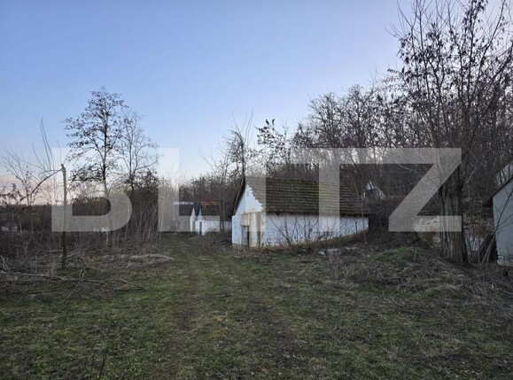 Teren de vânzare Sud - 166231TV | BLITZ Satu Mare | Poza12