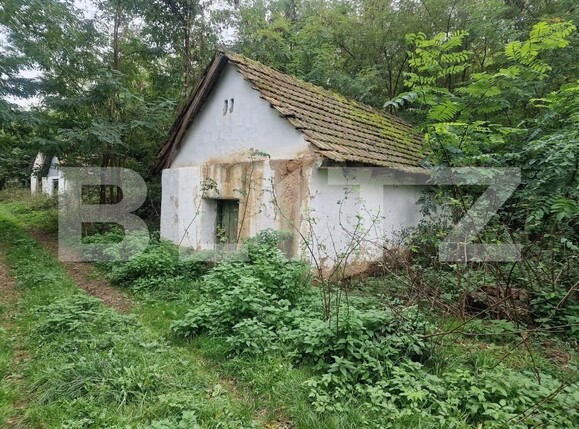 Teren de vânzare Sud - 166231TV | BLITZ Satu Mare | Poza8