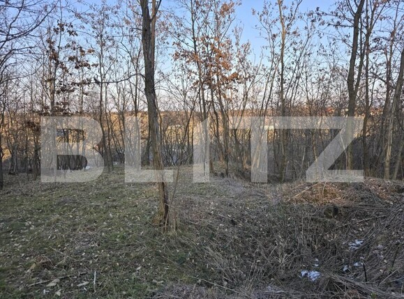 Teren de vânzare Sud - 166231TV | BLITZ Satu Mare | Poza20