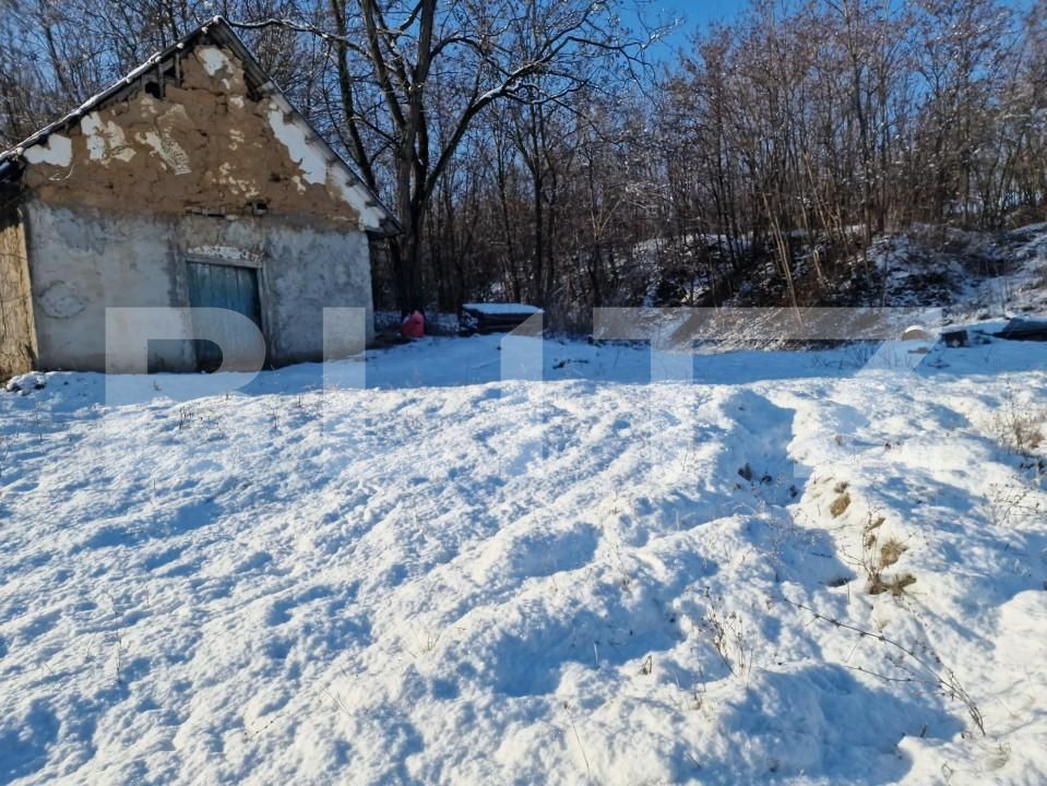 Teren de vânzare Sud - 166231TV | BLITZ Satu Mare | Poza6